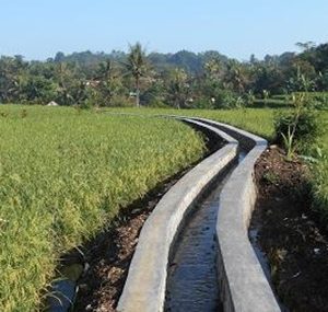 Read more about the article Jasa Pembuatan Web Aplikasi SISTEM INFORMASI PERENCANAAN PEMBANGUNAN DESA (SIMPEPEDES)