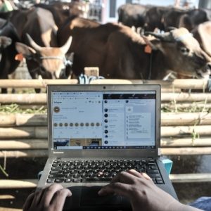 Read more about the article Jasa Desain Web Klinik Hewan: Membawa Klinik Anda ke Dunia Digital