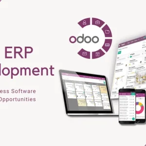 Read more about the article Jasa Pembuatan Web Aplikasi ERP Dengan ODOO